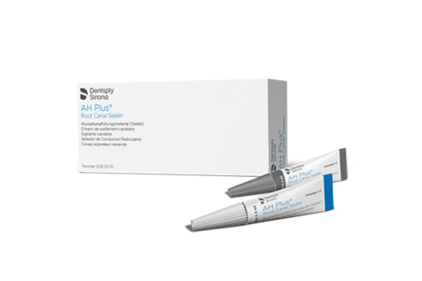 Dentsply AH Plus Kanal Dolgu Patı