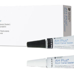 Dentsply AH Plus Kanal Dolgu Patı 2x4 ml