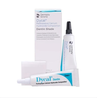 Dentsply Dycal Kalsiyum Hidroksit Pat