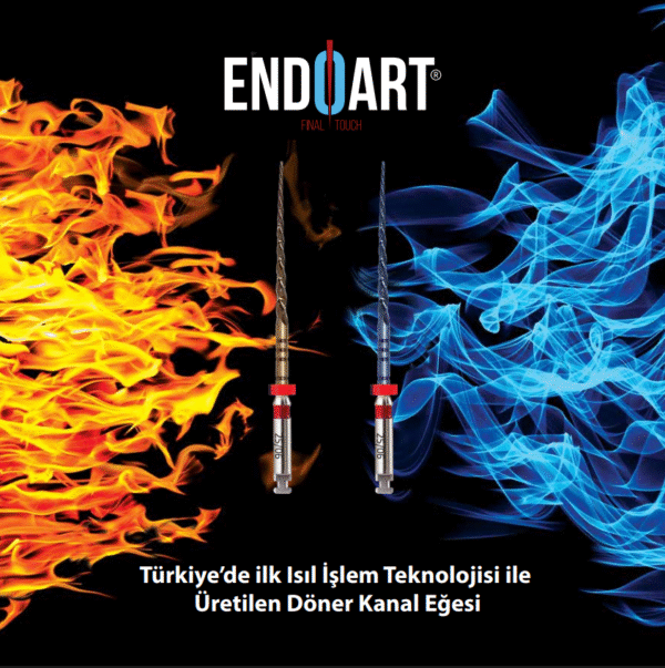 EndoArt Smart Touch Action Kanal Eğesi Kampanya Smart Gold 25mm 25/04