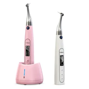 Woodpecker endomotor AI Motor