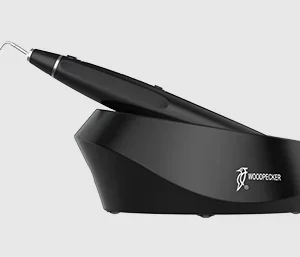 Woodpecker Fi-P Gutta Doldurma Cihazı