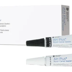 Dentsply AH Plus Kanal Dolgu Patı 2x4 ml