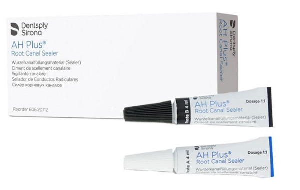 Dentsply AH Plus Kanal Dolgu Patı 2x4 ml